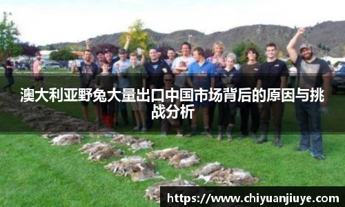 31399金沙娱场城网址